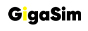 GigaSim Logo