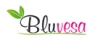 Bluvesa Cashback