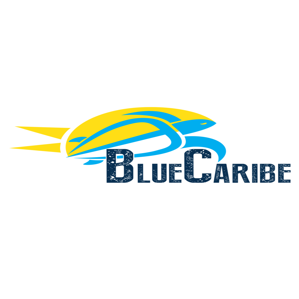 bluecaribetours.com