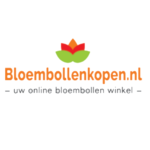 Blumenzwiebelnversand Cashback
